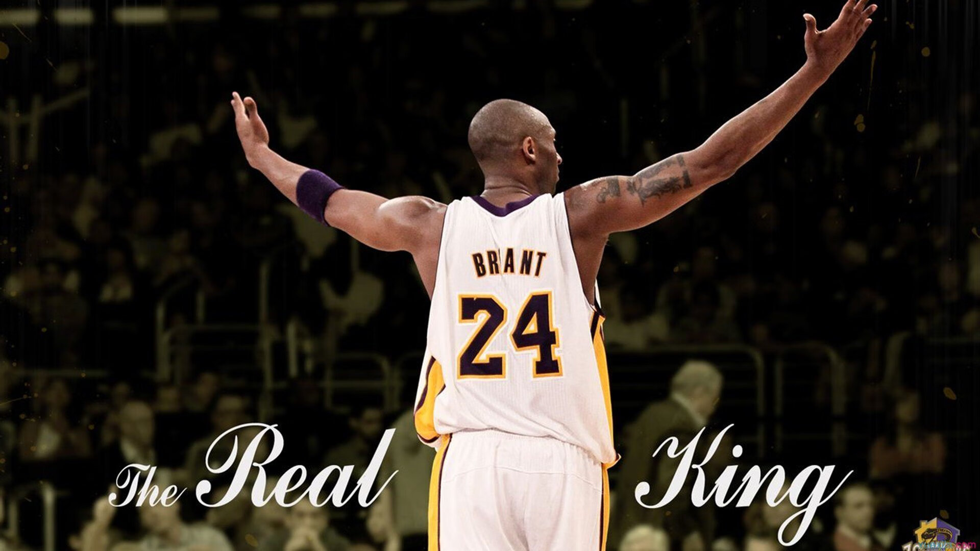 世界杯欧洲区预选赛：德国全胜战绩引来高调期待 “低谷期已过”成为主流观点